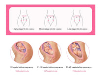 Cargar imagen en el visor de la galería, Doppler Fetal Monitor Latidos Fetales Bebés)