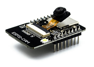 ESP32 Cam